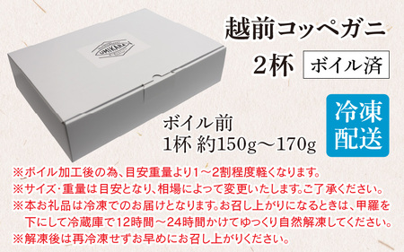 【先行予約】【数量・期間限定】福井県産 越前コッペガニ（セイコガニ）×2杯【急速冷凍】（プロトン凍結）【11月下旬より発送】