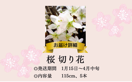桜 切り花 （115cm × 5本） | 八重桜 敬翁桜 彼岸桜 ボタン桜  奈良県 五條市 さくら 花 フラワー 生け花 季節の花 季節限定