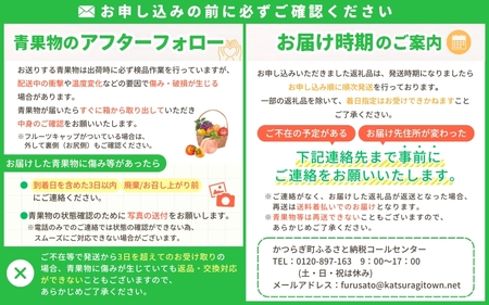 和歌山の旬の果実を 奇数月にお届け全6回定期便【TM49】【TM92156-tkb】