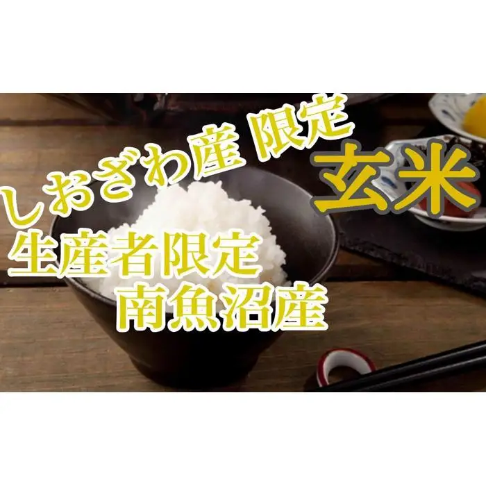 【令和7年】【定期便2kg×6ヶ月】玄米 しおざわ産限定 生産者限定 南魚沼産コシヒカリ｜玄米