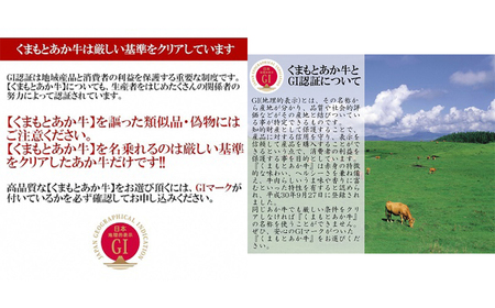 熊本県産 GI認証取得 くまもとあか牛 切り落とし 計1kg （500g×2パック） 肉 牛肉 和牛 あか牛 冷凍 熊本県 高森町