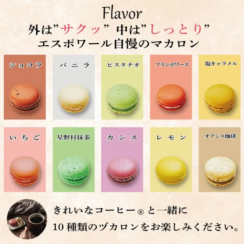 マカロン10個ときれいなコーヒードリップバックのセット【A5-448】