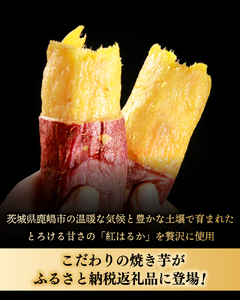 【焼き芋】 紅はるか 冷やし焼き芋 1.5kg 冷蔵 焼芋