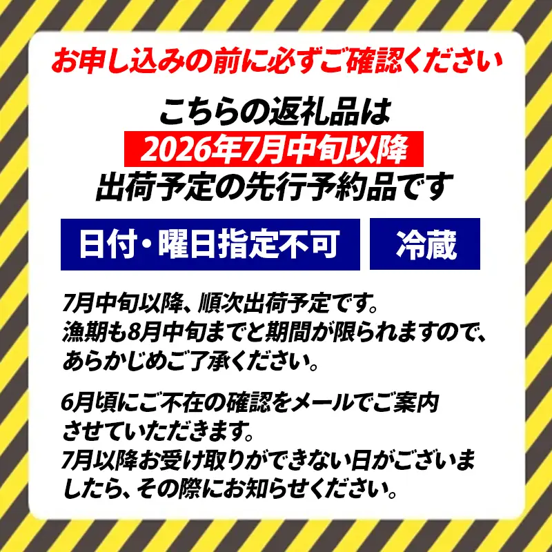 【先行予約】親不知産 天然岩牡蠣(生食用) 大サイズ４～５個 2026年7月中旬以降順次発送 鮮度抜群！ 水揚げ直後に発送 日本海 かき カキ 岩ガキ