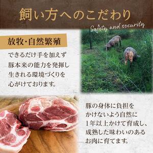 【放牧豚】肩ロースかたまり 500g以上 肉 豚肉 ロース ブロック肉 北海道 ローストポーク F4F-2236