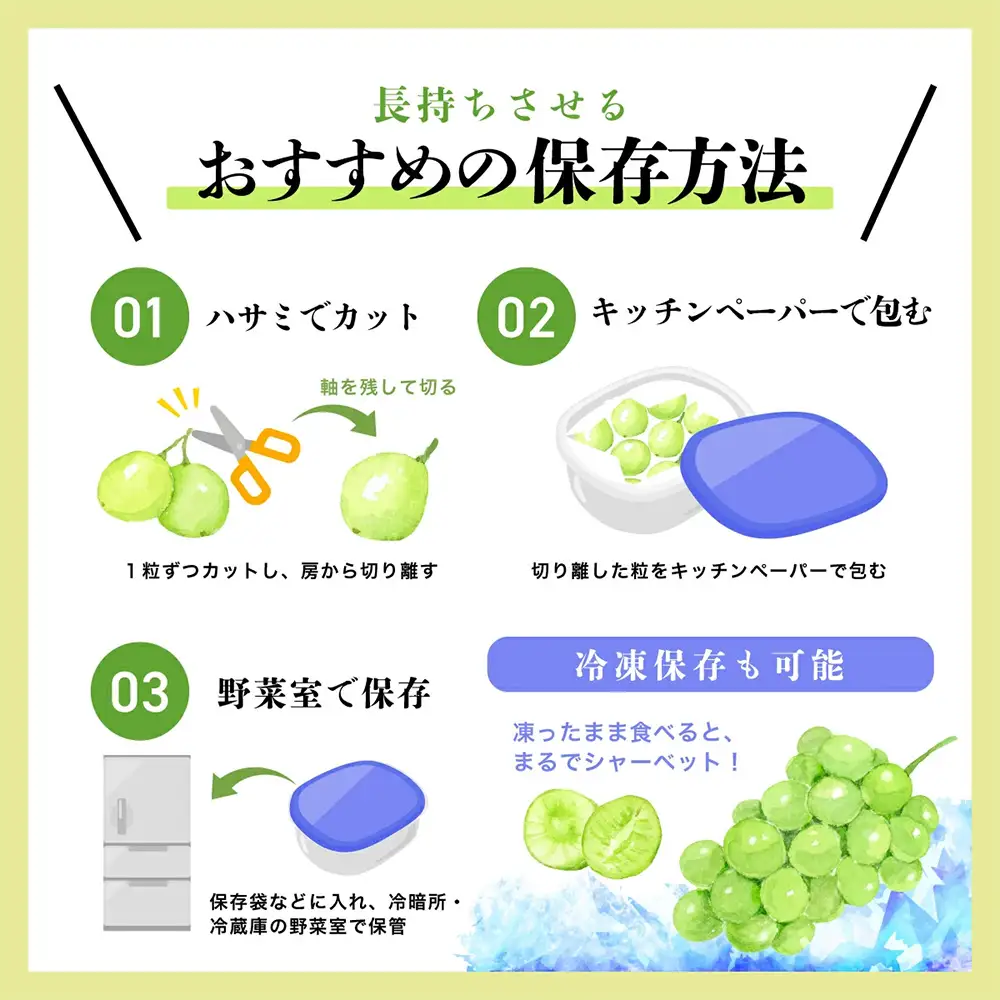 【特別寄付額10000円→9000円】シャインマスカット 約1.2kg 2～3房 ご家庭用 佐賀県産 【先行予約 2026年8月上旬以降発送】| シャインマスカット 2026 シャイン マスカット ぶどう 葡萄 ブドウ 果物 フルーツ 果実 季節 旬 冷蔵 期間限定 国産 佐賀県 鹿島市 人気 ランキング フルーツ おすすめ B-658