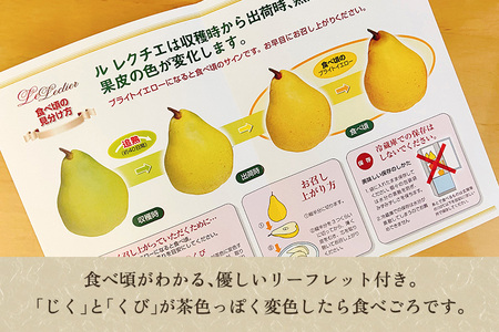 【2026年先行予約】新潟特産 幻の洋梨ル・レクチェ 【家庭用】2Kg（5～7玉）《11月下旬以降発送》梨工房みつば会