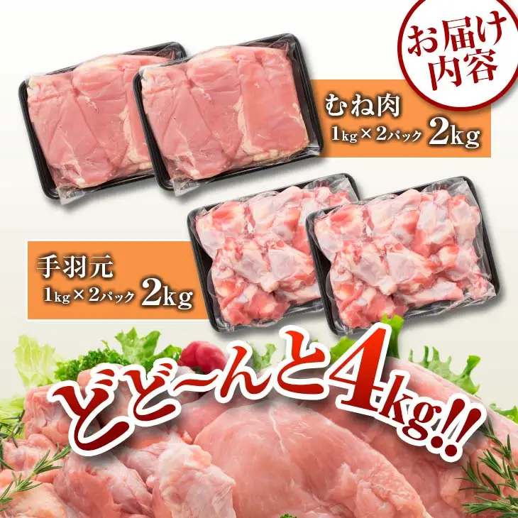 訳あり 数量限定 鶏肉 むね肉 手羽元 セット 合計4kg 国産 人気 チキン ムネ おかず お弁当 おつまみ 食品 万能食材 大容量 から揚げ 煮込み 焼肉 詰め合わせ 人気 おすすめ ギフト おすそ分け お取り寄せ グルメ 真空パック 宮崎県 日南市 送料無料_C143-25