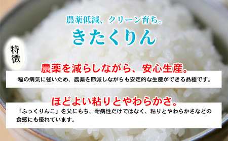 米 食べ比べ セット ゆめぴりか ななつぼし きたくりん【計6kg各2kg】
