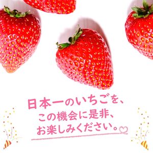 氷果実Mix とちあいか ミルキーベリー 140g 