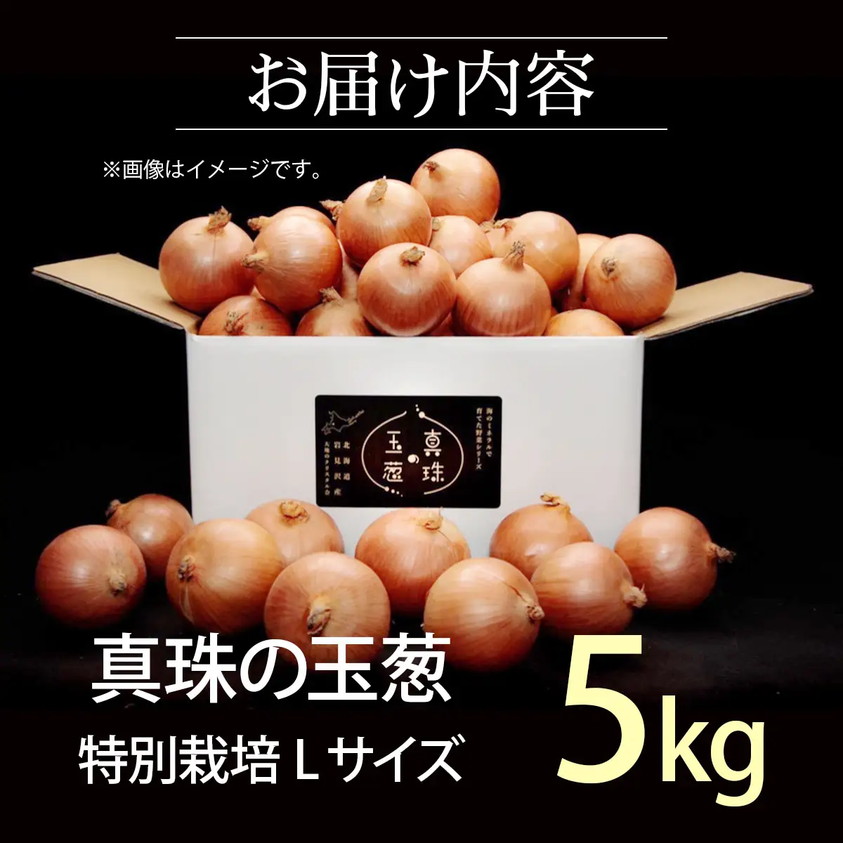 真珠の玉葱 L～L大サイズ 5kg ＜海のミネラルで育てた特別栽培玉葱＞【a134-001】【50101】