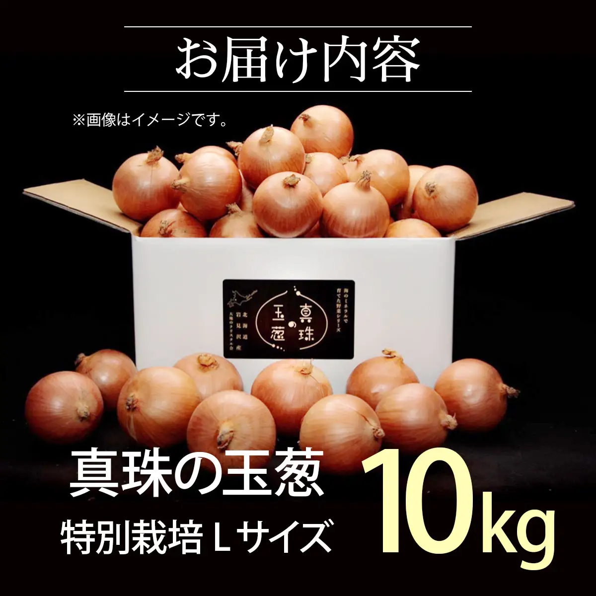 真珠の玉葱 L～L大サイズ 10kg ＜海のミネラルで育てた特別栽培玉葱＞【a134-002】【50102】