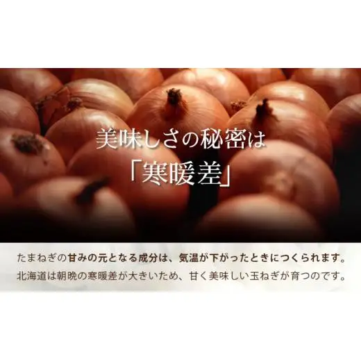 真珠の玉葱 Lサイズ5kg ≪海のミネラルで育てた玉葱≫【50103】