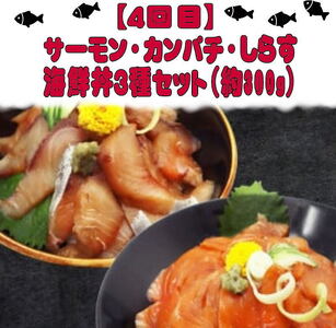 【4回定期便】人気のお魚集合定期便 さば 銀鮭 うなぎ 海鮮丼【tkb308】