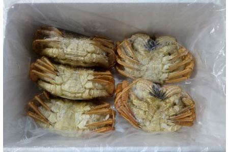 【北海道根室産】クリガニ200～250g×5～6尾(計1.2kg) A-57056