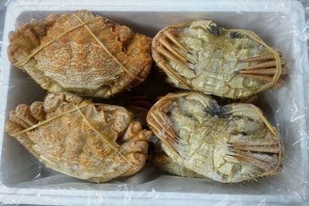 【北海道根室産】クリガニ200～250g×10～12尾(計2.4kg) C-57038