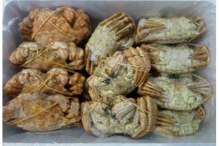【北海道根室産】クリガニ200～250g×20～25尾(計5.0kg) D-57031