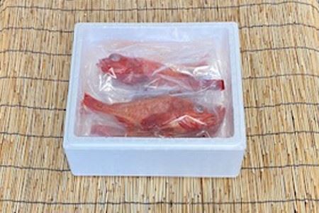 【北海道根室産】キチジ(メンメ・キンキ)7尾～11尾(下処理済) E-76001