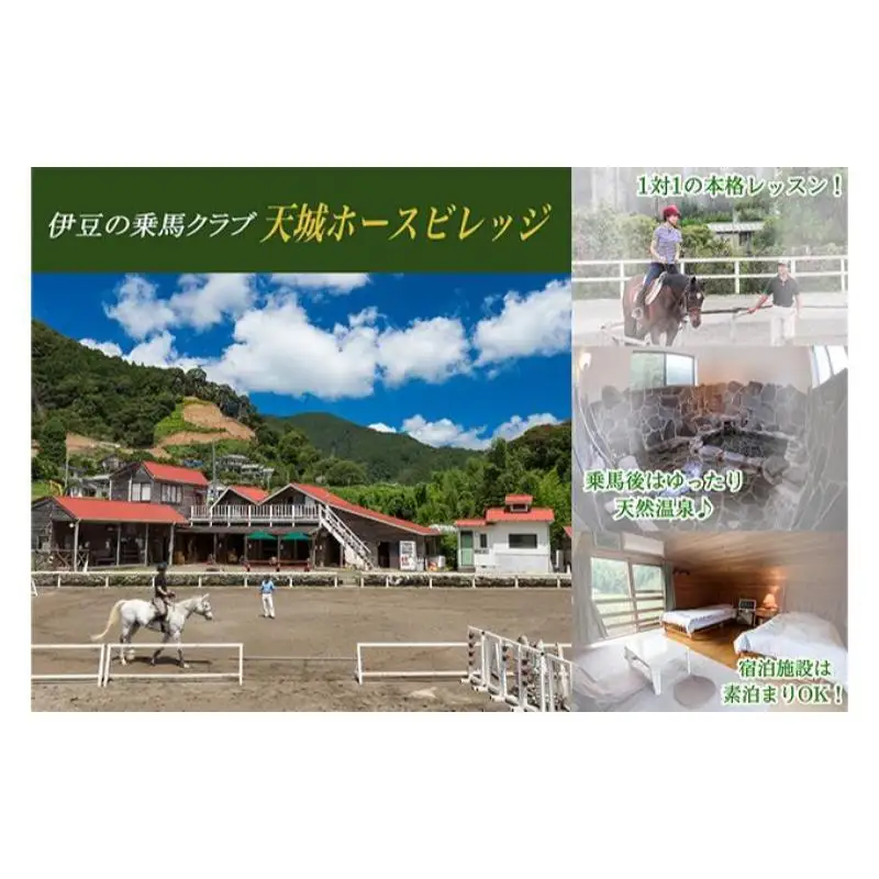 肥料 BOROの輝き 15L 3個 セット バラ専用 肥料