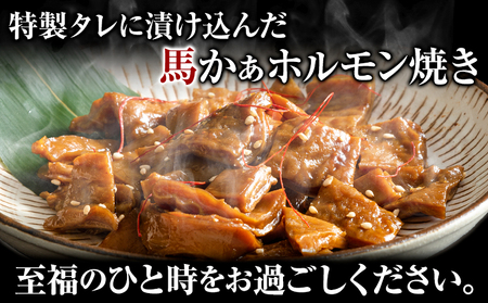 馬ホルモン焼 10個セット 10人前 (100g×10個) 千興ファーム 《60日以内に出荷予定(土日祝除く)》 熊本県 御船町 ホルモン ホルモン焼き 馬ホルモン 馬 馬肉 タレ たれ 個包装 おつまみ 送料無料 大人気 簡単調理