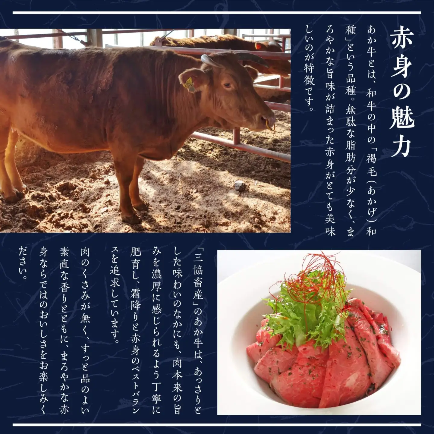 あか牛 バラ 切り落とし 500g・あか牛のタレ 200ml 付  046-0621