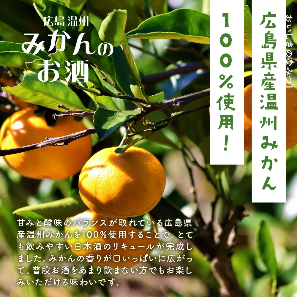 千福 広島温州みかんのお酒 6本セット ミカン 柑橘 柑橘類 冷酒 常温 ぬる燗 ロック 炭酸割り ホット 甘口 濃厚 リキュール お酒 酒 アルコール 果実酒  果物 フルーツ 洋酒 地酒 オリジナル ギフト 贈り物 お取り寄せ 送料無料 広島県 呉市 ku088-005-r