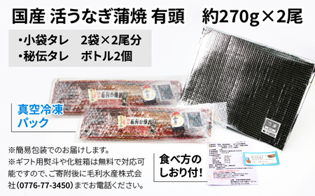 国産 活うなぎ蒲焼 有頭 約270g 2尾 2～4人前《ご寄付後、発送直前にひとつひとつ手焼き！》 [C-044001]