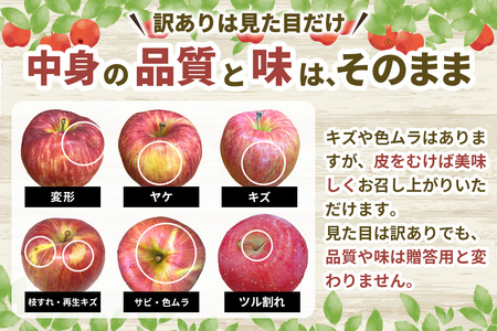 [訳あり] りんご サンふじ 3kg (9玉から12玉入り 3kg 1箱)  見た目にわけあり 味はそのまま [0838]