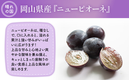 【2026年先行予約】 ぶどう 岡山県産 ニューピオーネ ( 種無し )約4kg(6～10房)【約2kg(3～5房)×2箱】 《2026年8月下旬-9月中旬頃出荷》 葡萄 ブドウ フルーツ 果物 スイーツ 数量限定 期間限定 岡山 里庄町 