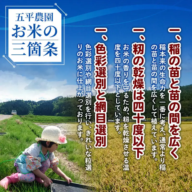 《令和8年産 新米受付》【玄米】コシヒカリ 10kg 秋田県産 五平農園のコシヒカリ《11月下旬～12月下旬発送予定》
