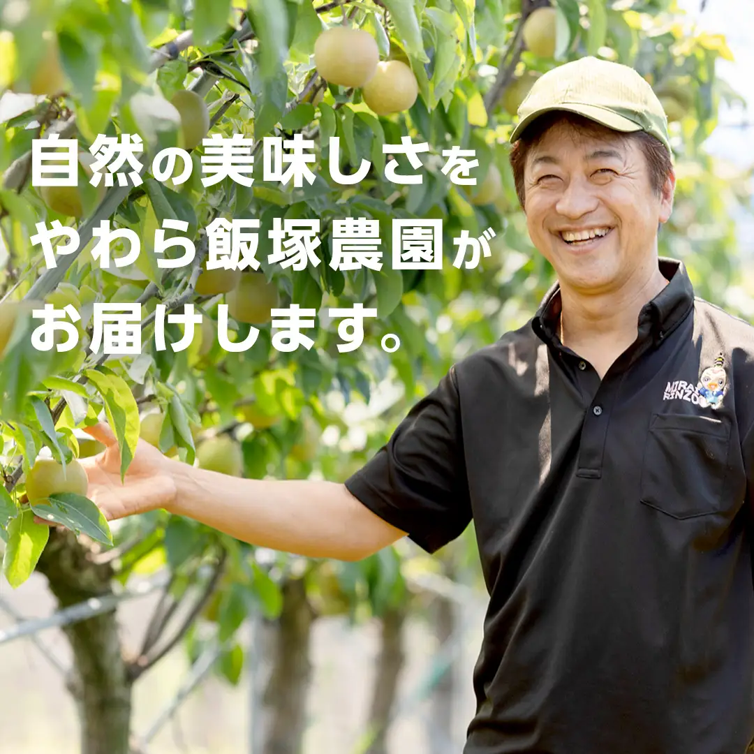 農園直送！おまかせ 梨 3kg 【7月下旬発送開始】 
