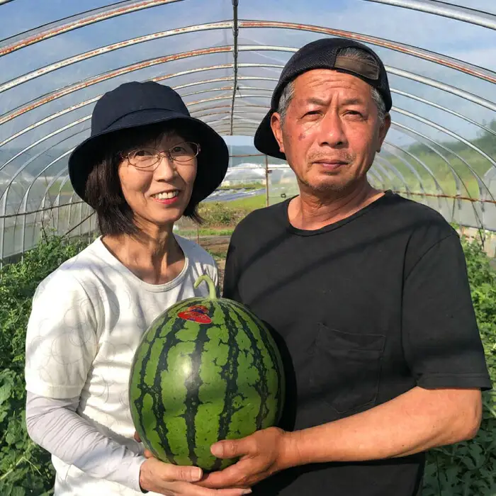 【先行予約】【初夏に実った贈り物】大玉 スイカ 約7kg【なかむら農園】[ZBH001]