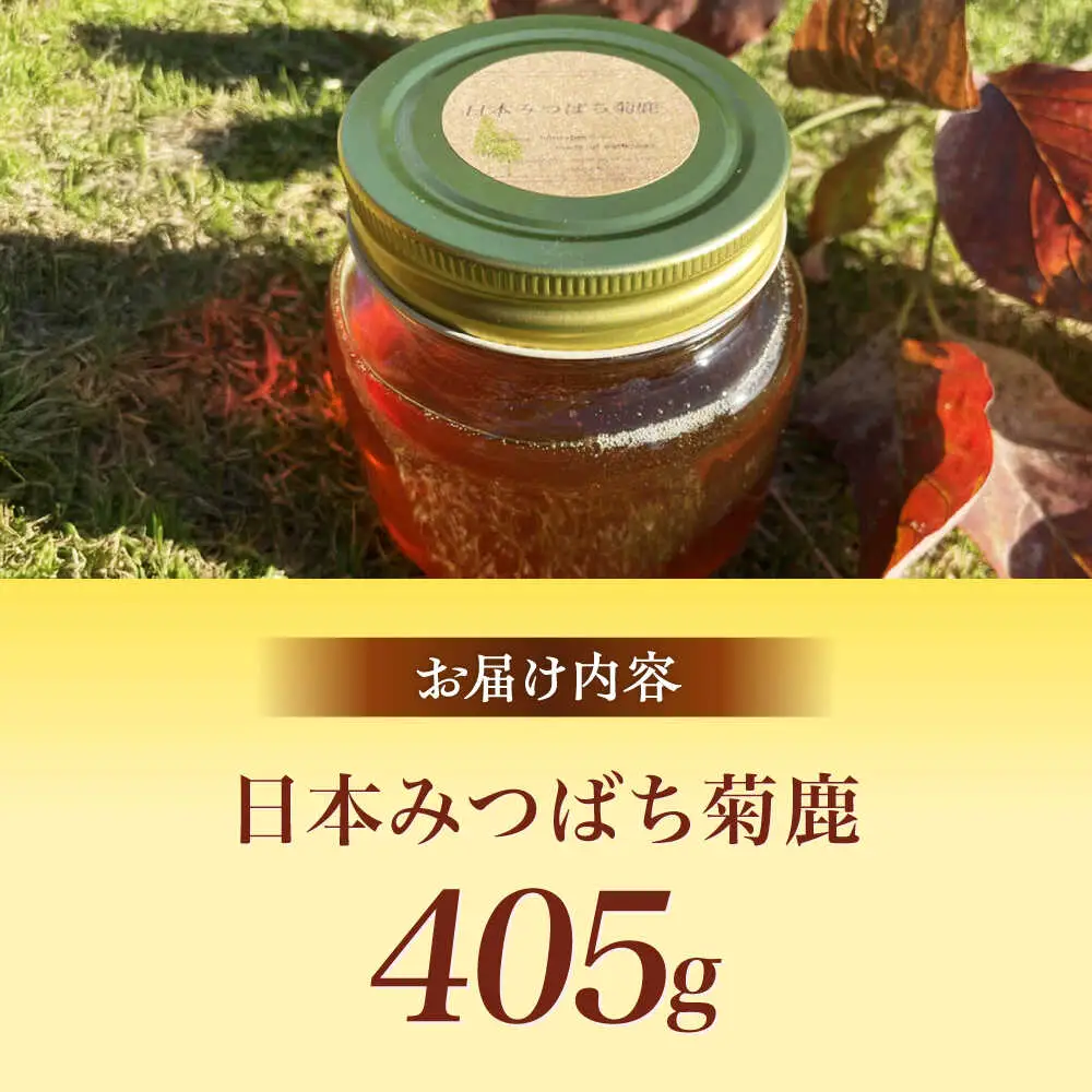 日本みつばち菊鹿約405g【山麓はっち】[ZBM010]