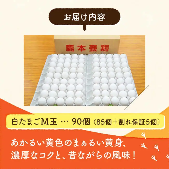 白たまごM玉卵90個(85個＋5個割れ保証)卵タマゴZCA001