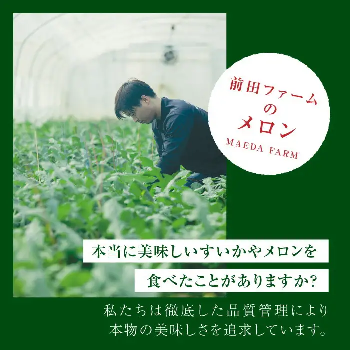 【先行予約】年内発送 クリスマスメロン セット【株式会社 前田ファーム】[ZCM004]