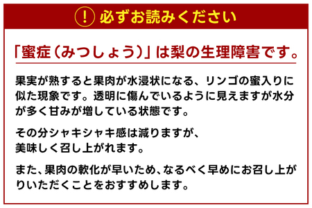 ★先行予約★ 【2026年8月発送】仁平果樹園の梨 「豊水」5kg (8個～14個) (8月下旬より順次配送) | 果物 新鮮 フルーツ ギフト 梨 ナシ 益子町産梨 甘い あまい 糖度11.5以上 糖度保証 果汁 果肉 栃木県 益子町 (DB002)
