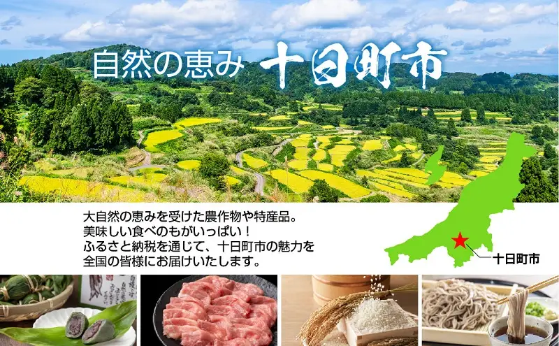 熨斗 笹だんご つぶあん 5個 × 2袋 計10個 セット 冷凍 笹団子 新潟県 銘菓 ダンゴ お土産 餅 和菓子 もち 着色料不使用 国産原料 ギフト お取り寄せ 無地熨斗 のし 新川屋 十日町市 