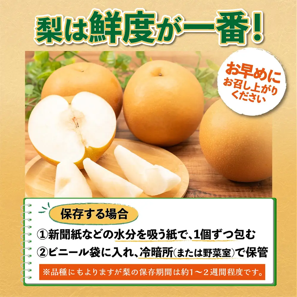 佐賀県産 梨 約5kg 旬の梨
