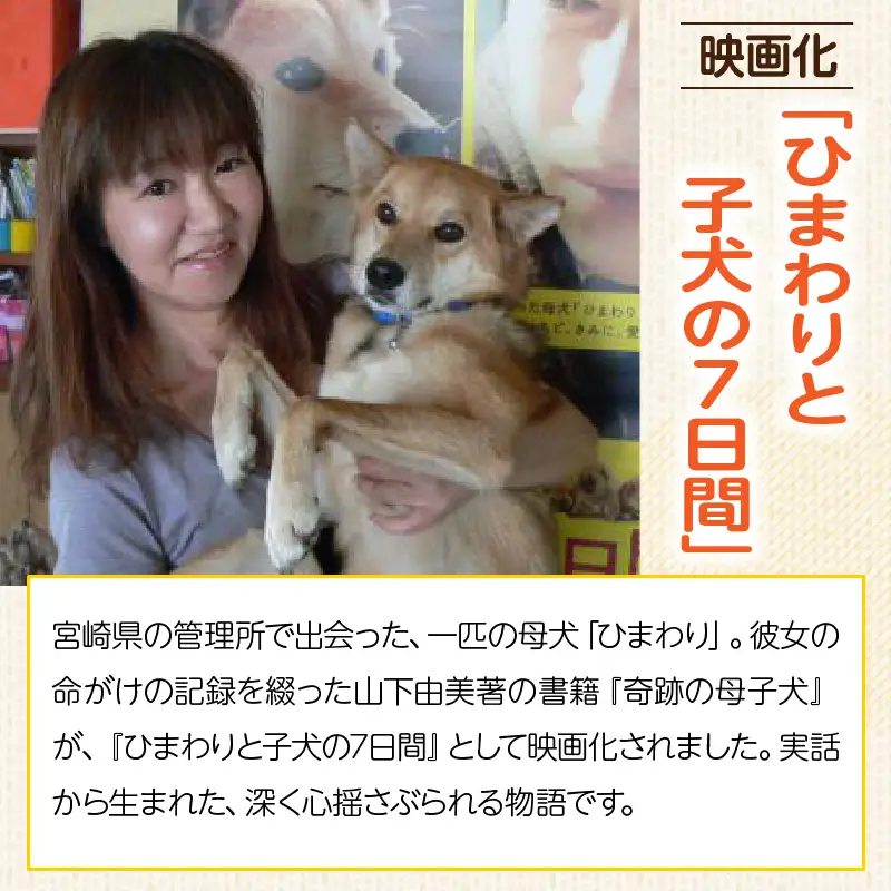 保健所犬猫レスキュー【返礼品なしのご寄附】犬 猫 保護 レスキュー 動物愛護 返礼品なし ペット 保護犬 保護猫 支援 応援 ボランティア_kn101-008