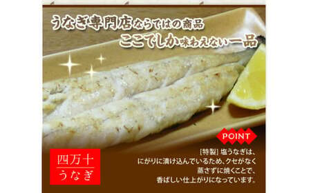 塩うなぎセット 280g（140g×2本） 四万十うなぎ 鰻 土用の丑の日 ／Esu-201
