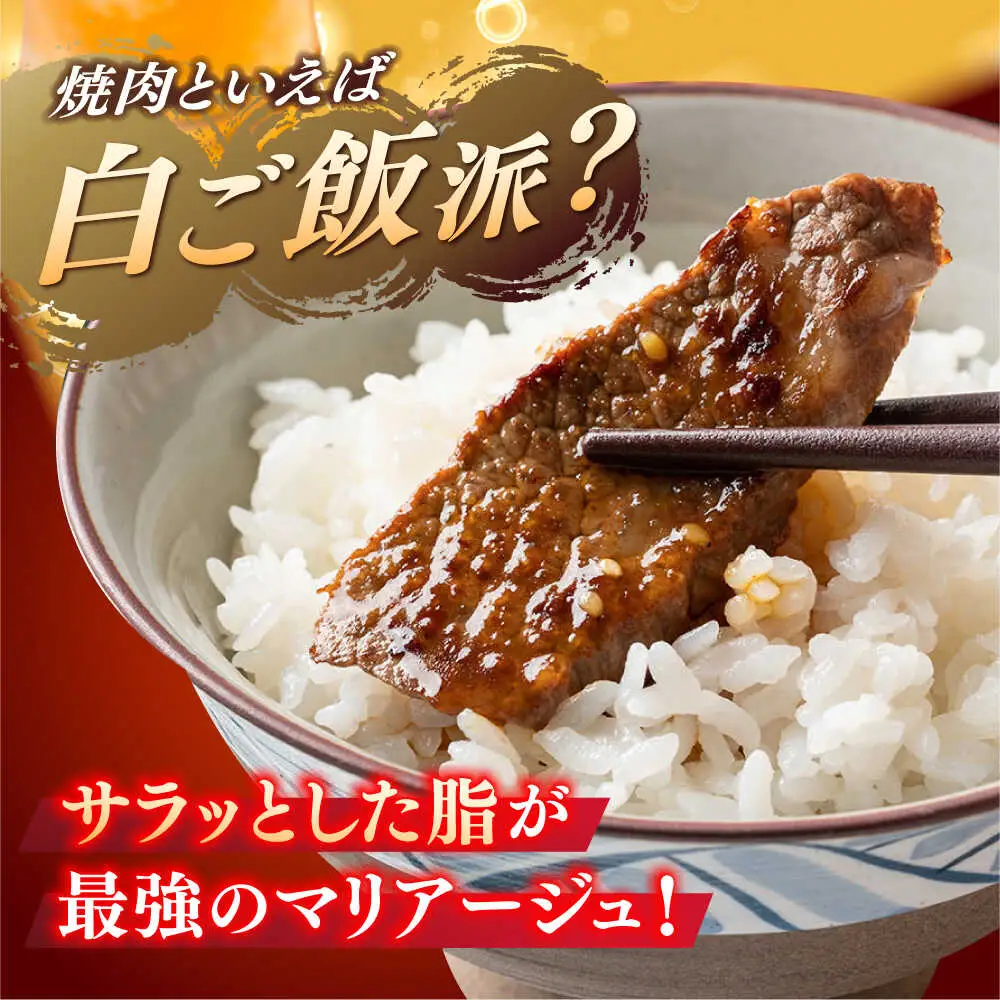 【6回定期便】佐賀牛 焼肉用 計3kg (500g×6回)  ※バラ・肩ロース・モモのいずれかの部位※しゃぶしゃぶ すきやき[FDB034]