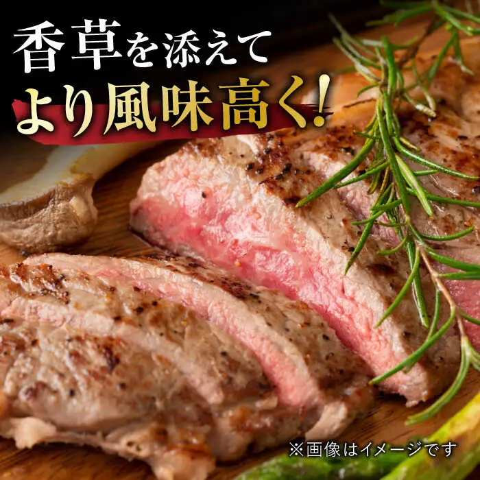 【12回定期便】佐賀牛 サーロインステーキ 計6kg (250g×2枚×12回) すてーき 黒毛和牛[FDB041]