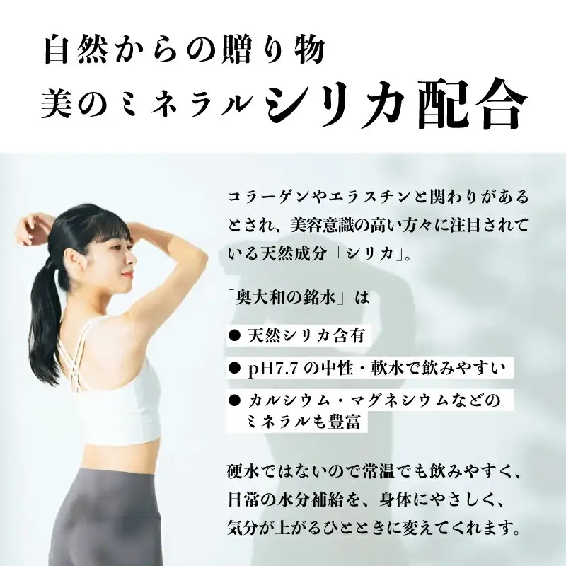 【ミネラルウォーター】 （定期便6ヶ月） 奥大和の銘水 500ml×48本（24本×2箱） 水 長期保存可能 銘水 水 Q-13 ミネラルウォーター