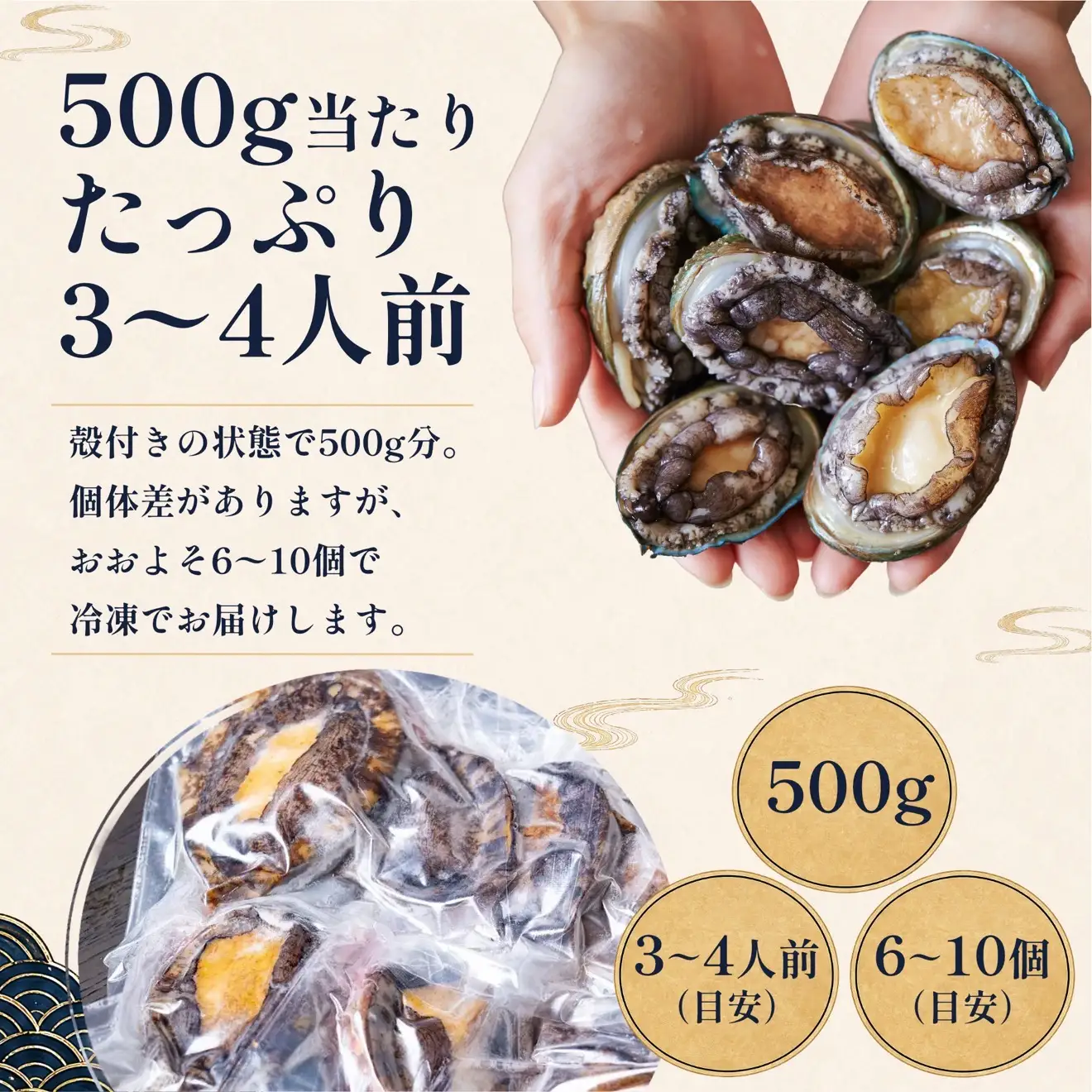 蝦夷あわび 天然 利尻島産 500g（冷凍）｜アワビ 北海道 産地直送 海鮮 刺身 天然 鮑 生食 蝦夷鮑 [1060004]