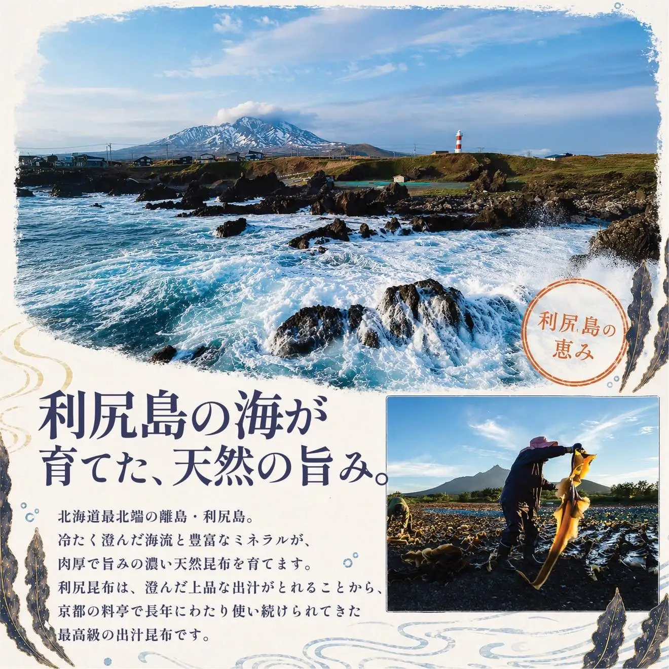 利尻昆布 北海道 利尻島産 天然 昆布 330g（110g×3袋）お味噌約60人前のお出汁｜北海道産 天然 だし 海藻 昆布 出汁  お鍋 煮物 和食 煮物 乾物 利尻島 [1020007]