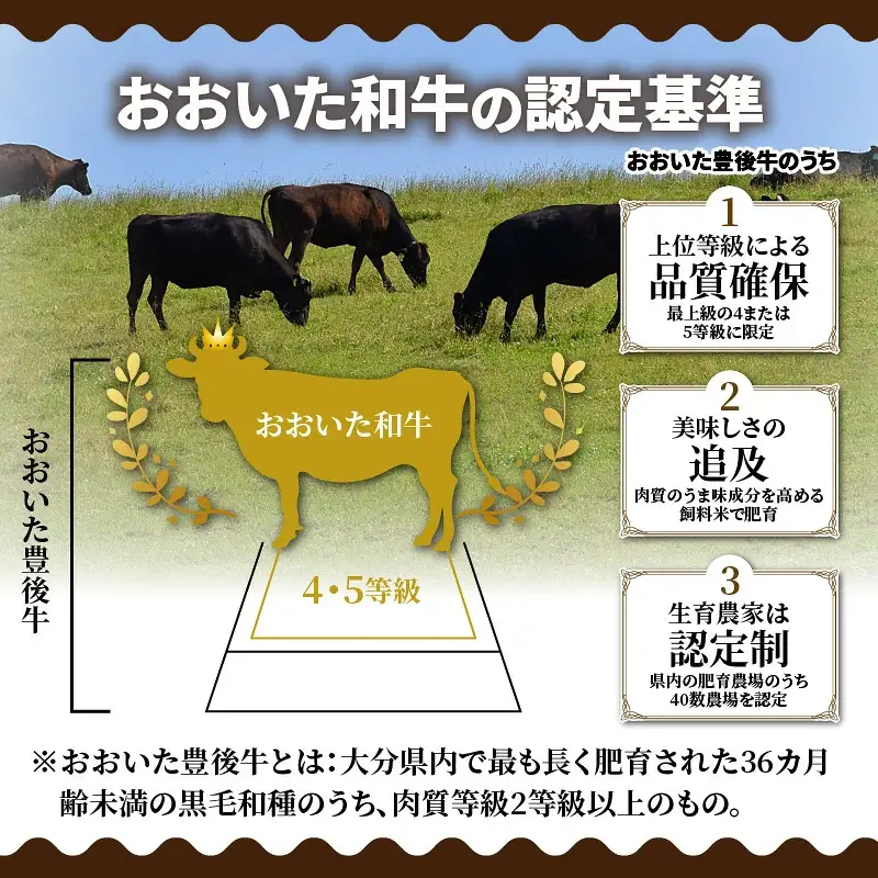 お肉屋さんの おおいた和牛メンチカツ （100g×10個）_2228R