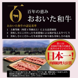 おおいた和牛＜A4・A5＞カルビ1.05kg（350g×3） 友バラ部位　焼肉　バーベキュー用_B140-010