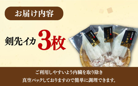 【対馬産】 剣先 イカ 生 冷凍（ 訳アリ ）3枚  [WAB012] いか 剣先いか あかいか シロイカ ケンサキイカ