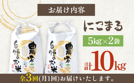 【先行予約】【全3回定期便】 特A 対馬産 にこまる 5kg×2「ほたる舞う三根川の米」  米 お米 ご飯 ごはん 白米 10kg 10キロ 産地直送 贈答用 特A 定期便 [WAJ006]