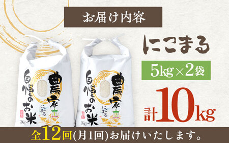 【全12回定期便】 特A 対馬産 にこまる 5kg×2「ほたる舞う三根川の米」  米 お米 ご飯 ごはん 白米 10kg 10キロ 産地直送 贈答用 特A 定期便 [WAJ014]